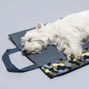 Sammenleggbar reiseseng til hund blå
