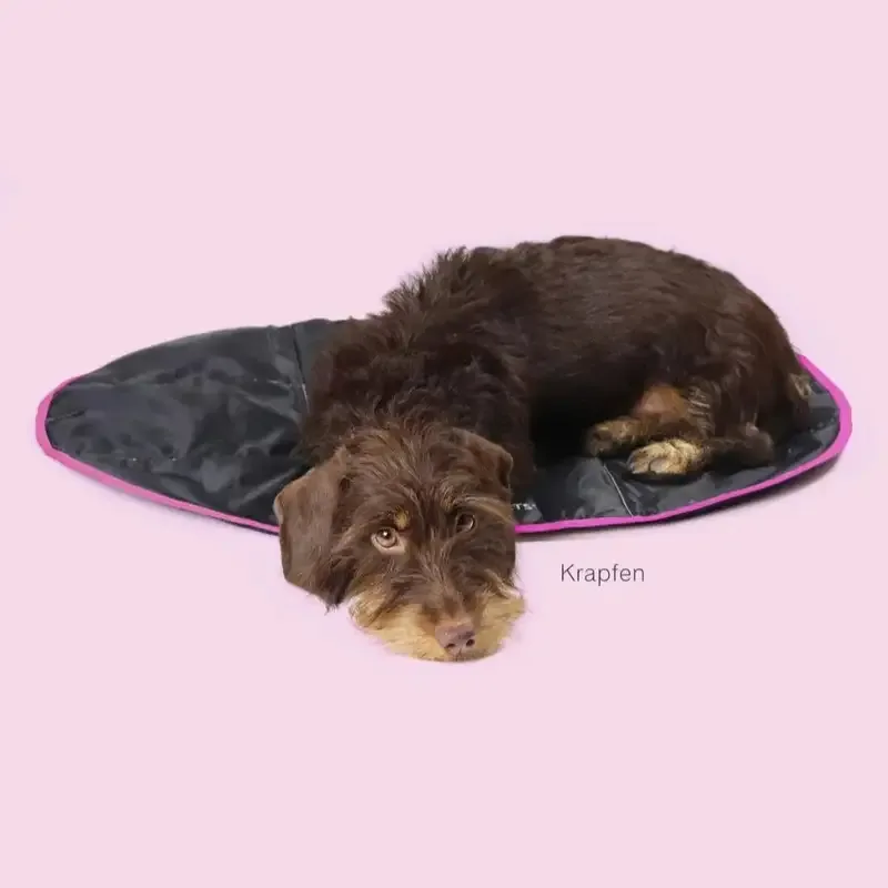 Sammenleggbar reiseseng til hund og katt svart/rosa