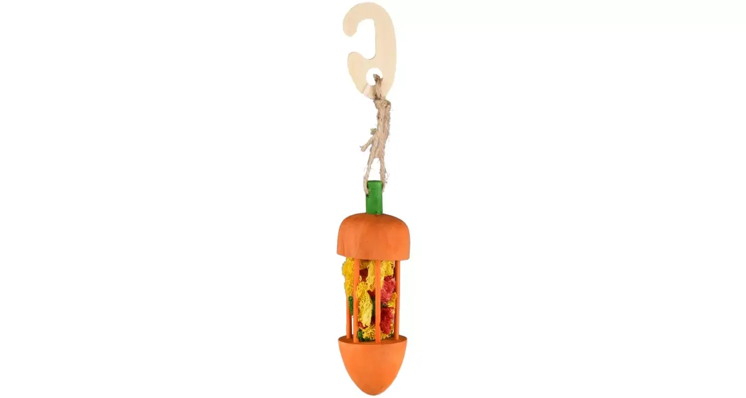 SAT WARIS HANGER CARROT ORANGE & LOOFAH DIA. 4,5x23CM (6)