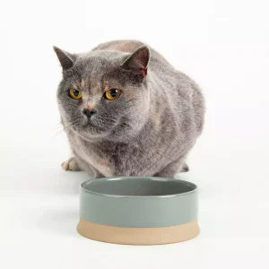 Scruffs Scandi Non Tip Pet Bowl – 14x14x5cm Cream