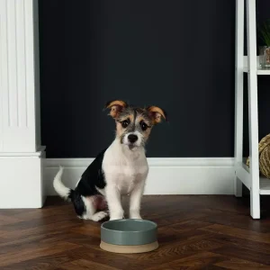 Scruffs Scandi Non Tip Pet Bowl – 16x16x5cm Cream