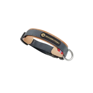 Secure Dog Collar