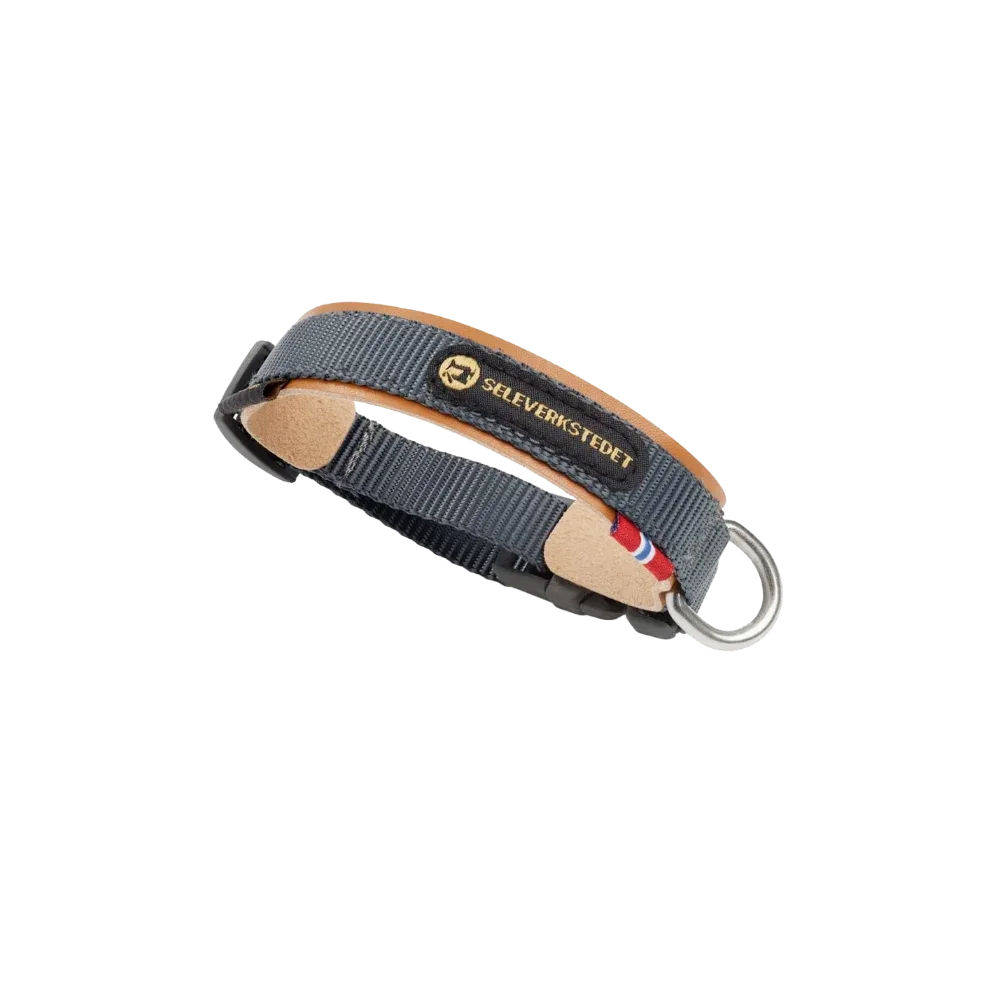 Secure Dog Collar