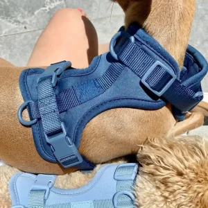Sele til hund – mørk blå