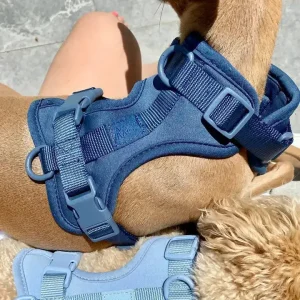 Sele til hund – mørk blå
