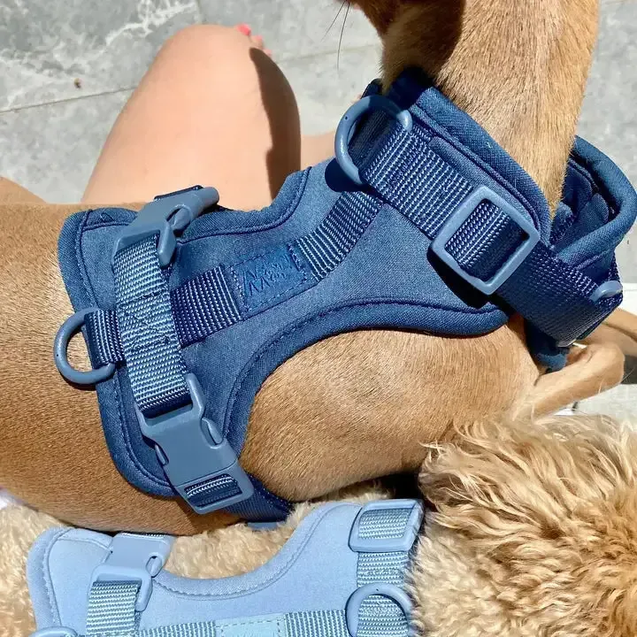 Sele til hund – mørk blå