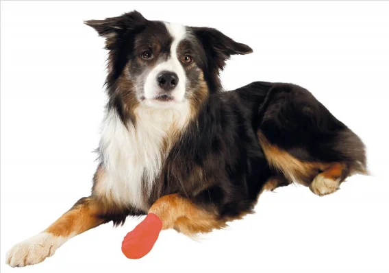 Selvklebende bandasje til hund 5 cm | Førstehjelp og potebandasje - Image 2