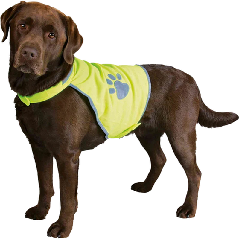 Sikkerhetsvest Neongul