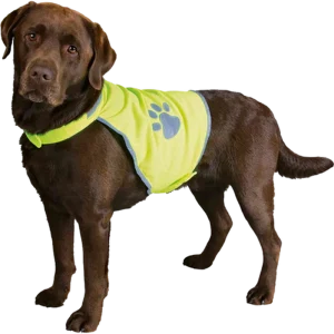 Sikkerhetsvest Neongul