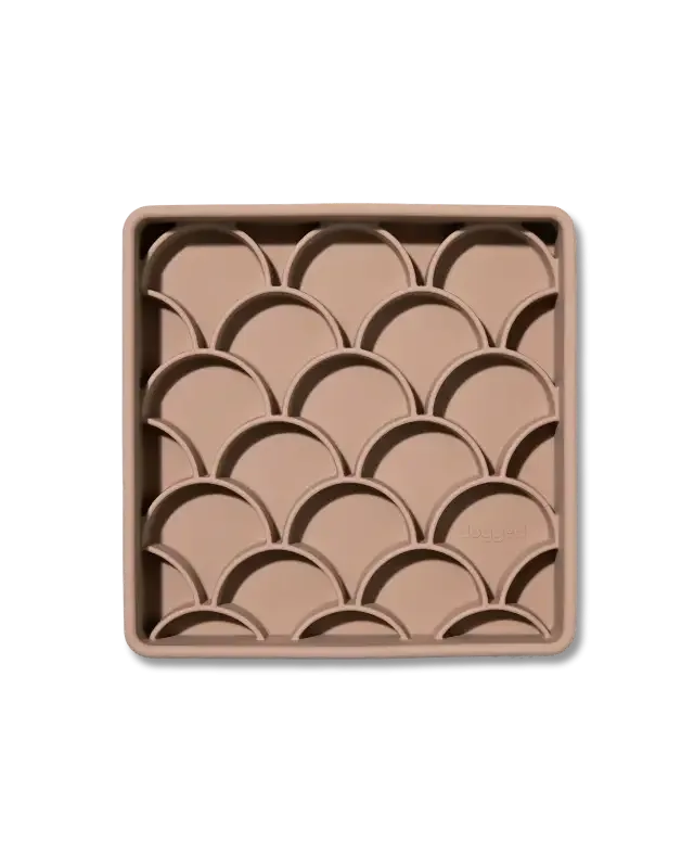 Slowfeeder FISH SCALE