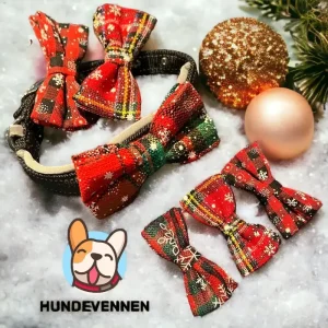 Sløyfe hund – Julesløyfe hund