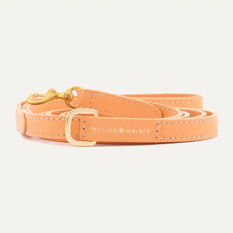 Small City Leash Orange
