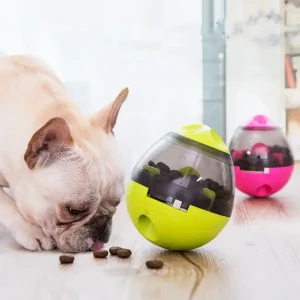 Snackegg Slowfeeder