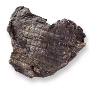 Snack’it Tørket Hestehjerte (200g) | Hypoallergen Monoprotein | Protein 72%, Fett 4%