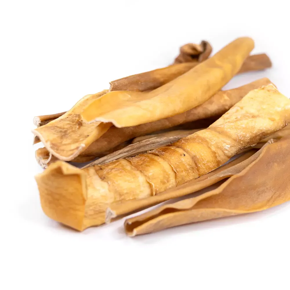 Snack’it Tørket Hestehud 30 cm – Allergivennlig og naturlig hundetygg