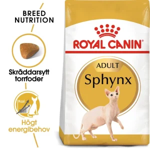Sphynx Adult