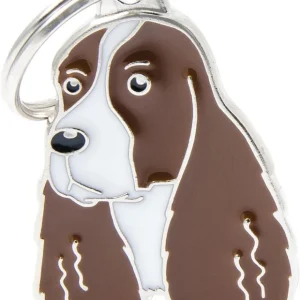 Springer Spaniel Brun