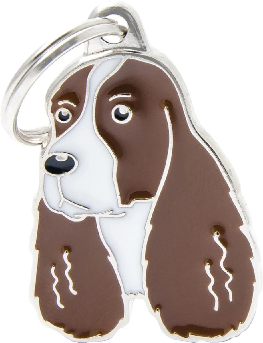 Springer Spaniel Brun
