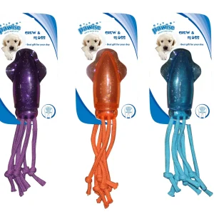Squid