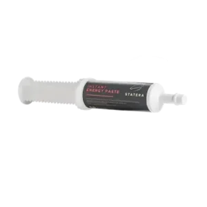 Statera Horsecare Instant Energy Paste
