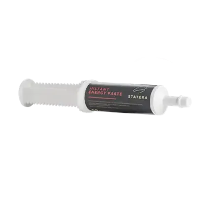 Statera Horsecare Instant Energy Paste