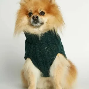 Strikket hundegenser 100% ull – mørk grønn