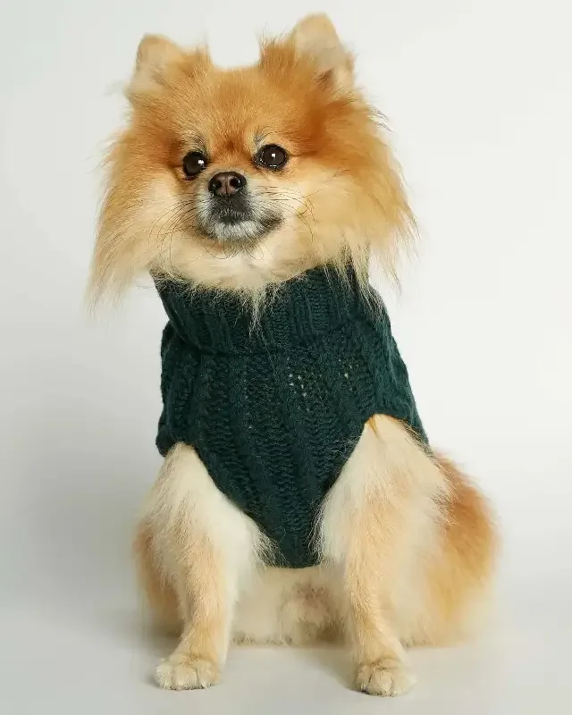 Strikket hundegenser 100% ull – mørk grønn