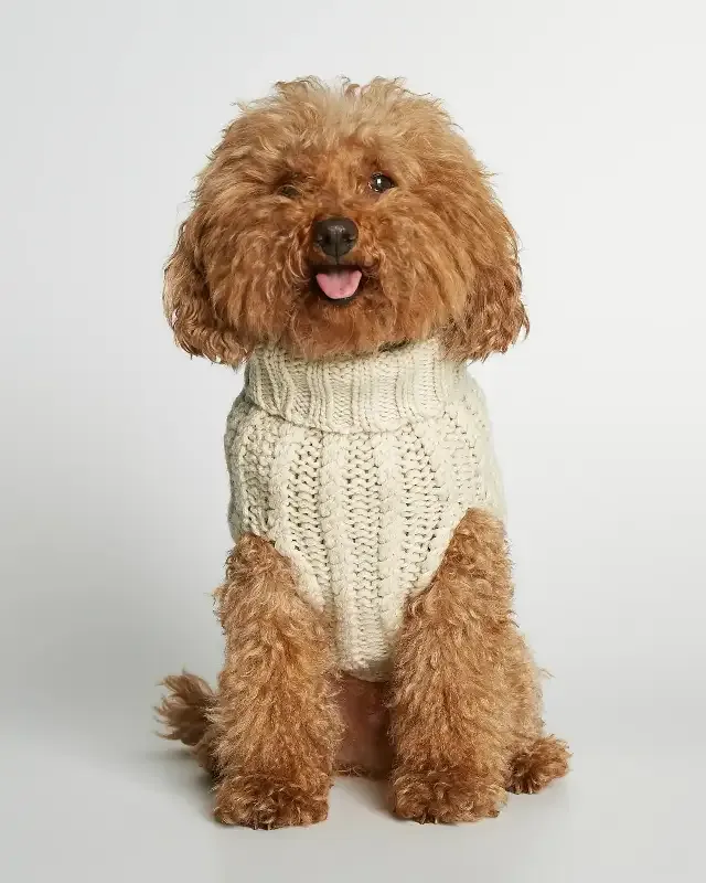 Strikket hundegenser 100% ull – offwhite