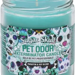 Sugar Skull