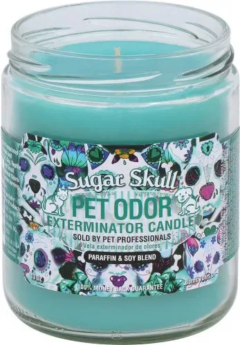 Sugar Skull