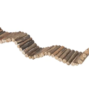 Suspension Bridge, Willow, 61 × 8 Cm