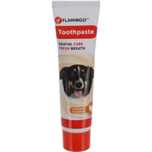Tannkrem Kyllingsmak 85gr (12)