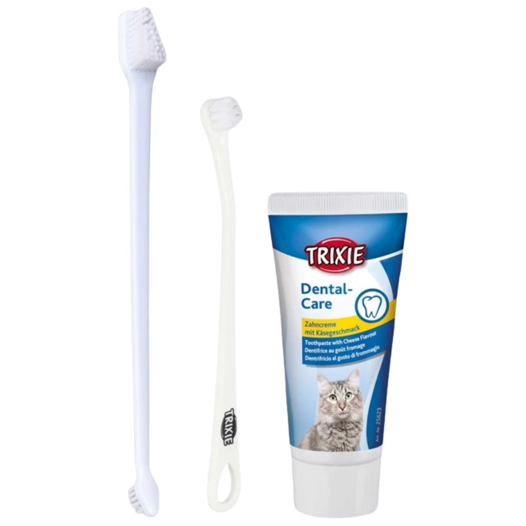 Tannpleiesett for katter, 2 b酶rster + tannkrem med ostesmak