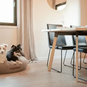 Teddy Daybed – Myk og elegant hundeseng med stilrent design
