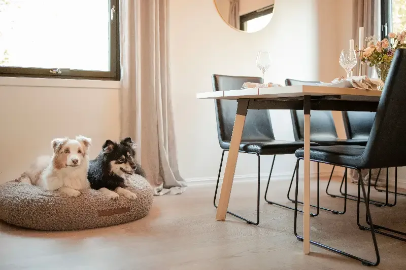 Teddy Daybed – Myk og elegant hundeseng med stilrent design