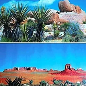 TERRARIEBAKGRUNN Trixie, Dobbel, 60x150cm. Steppe/Savanne