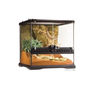Terrarium Exoterra 30X30X30Cm Mini Wide