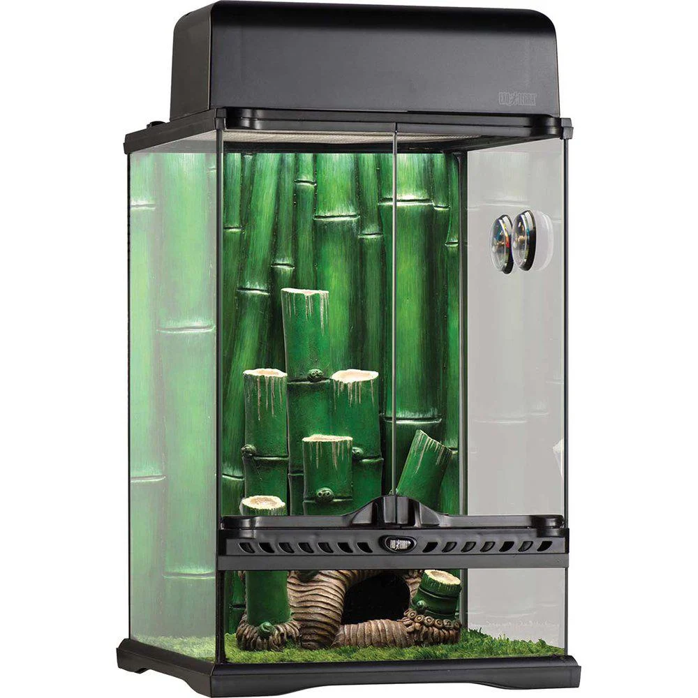 Terrarium Exoterra Bamboo Forest 30X30X45Cm Small - Image 2