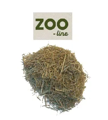 TESTUDO Herb Grass Baby, 400g. Urtehøy til skilpadde