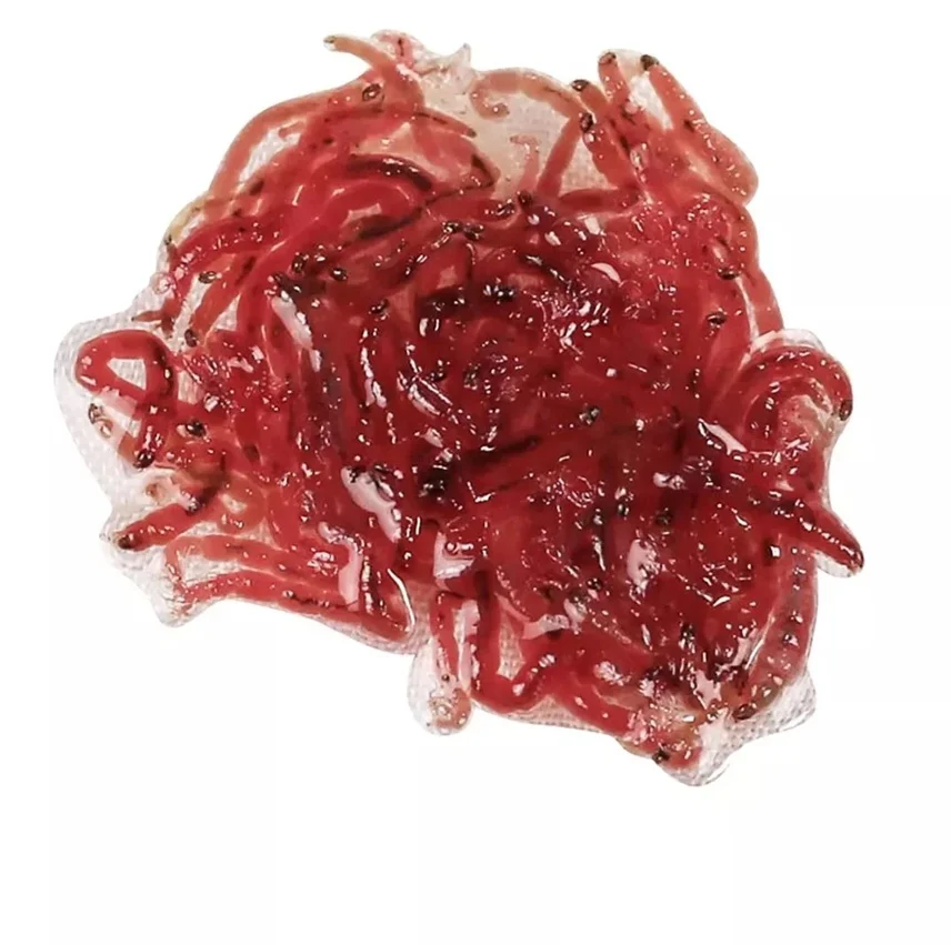 Tetra Freshdelica Bloodworms 48Gr - Image 2