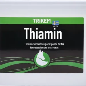 Thiamin 4000g (vitamin b1)
