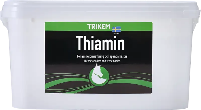 Thiamin 4000g (vitamin b1)
