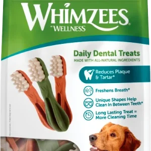 Toothbrush Star Dental