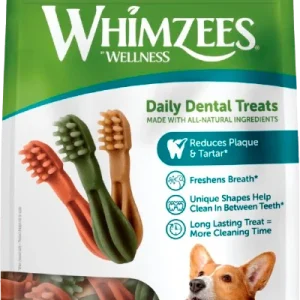 Toothbrush Star Dental
