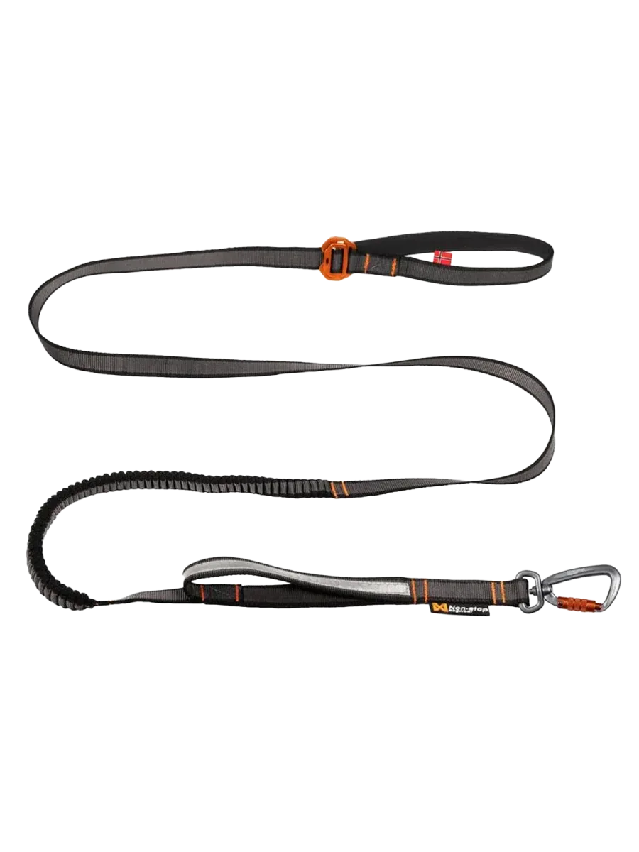 Touring bungee adjustable