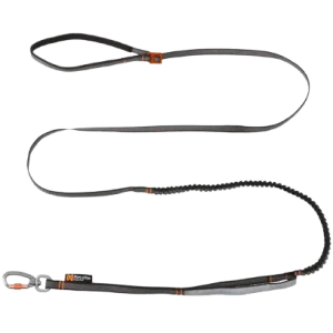 Touring bungee adjustable