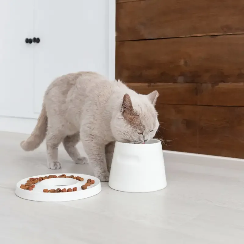 Tower ergonomisk katteskål – hvit