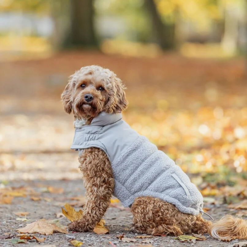 Trixie Ajou vinter hundejakke