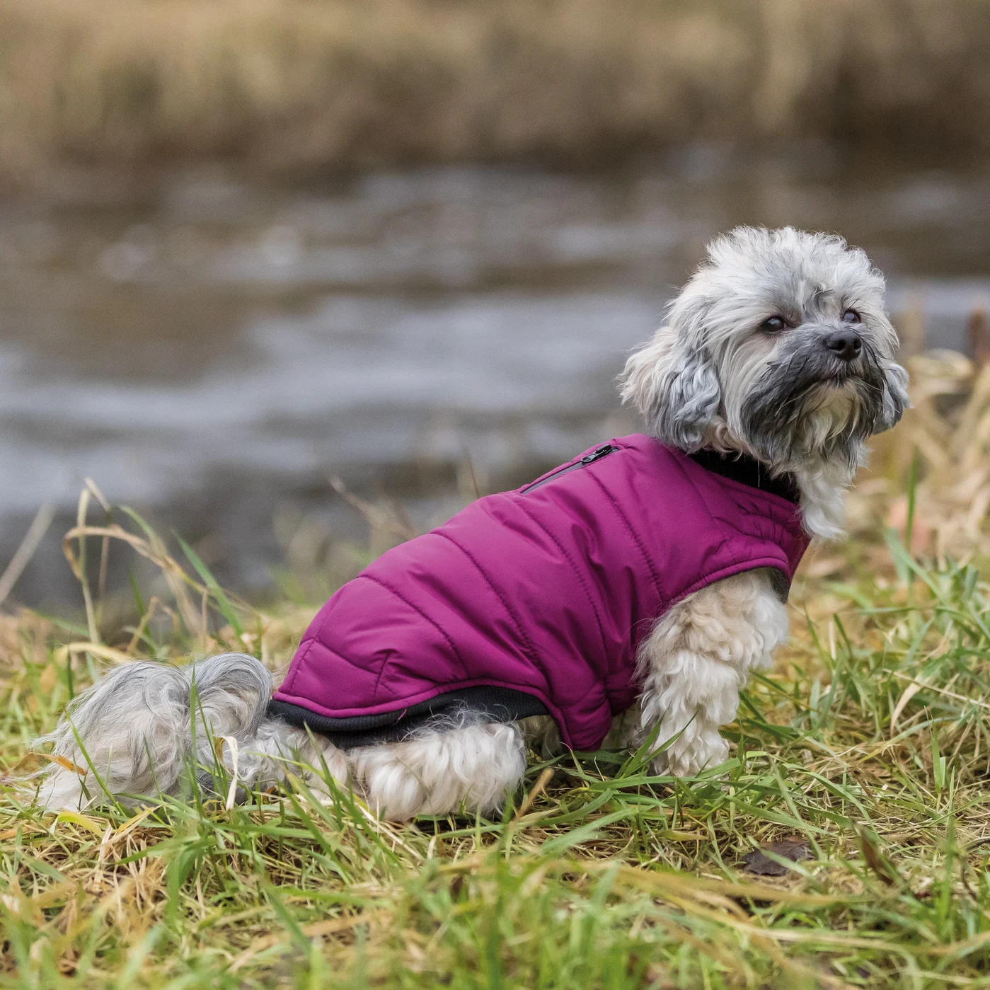 Trixie Arlay hundedekken