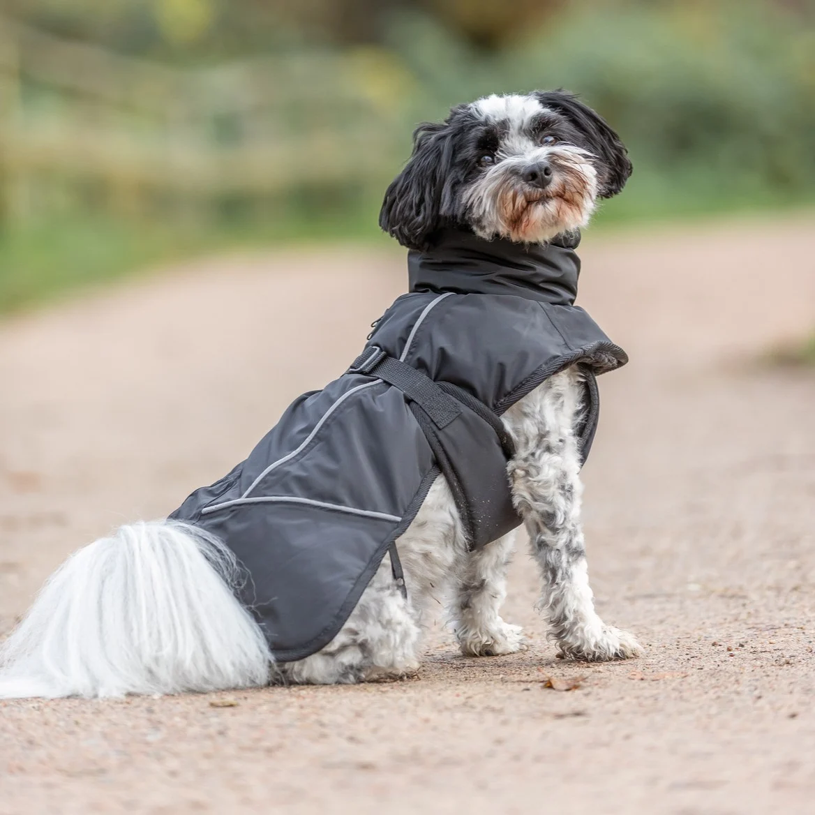 Trixie Brizon 2.0 Vinterjakke til Hund – Varm og Vanntett - Image 2
